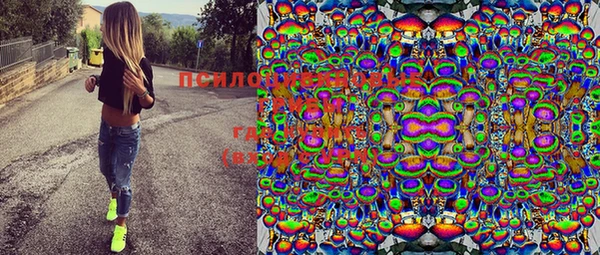 тгк Касимов