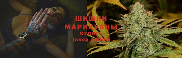 тгк Касимов