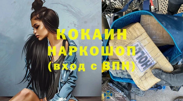 индика Карпинск