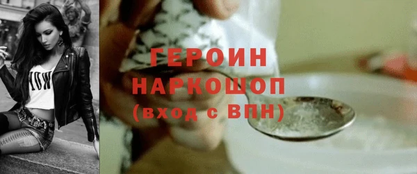 индика Карпинск