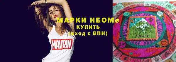 индика Карпинск