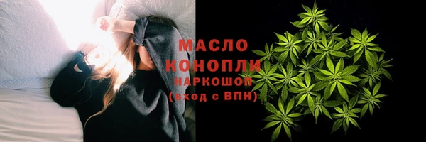 индика Карпинск