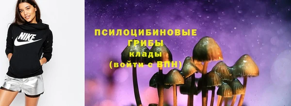 индика Карпинск