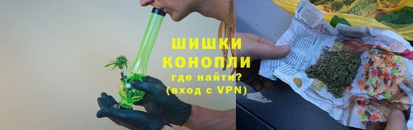 тгк Касимов