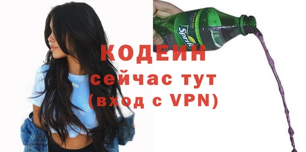 индика Карпинск