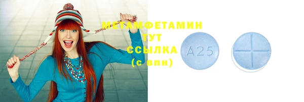 индика Карпинск
