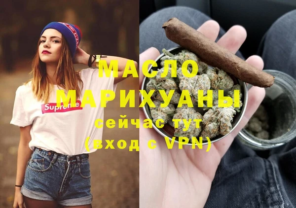 индика Карпинск