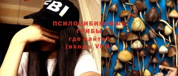 тгк Касимов