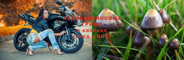 индика Карпинск