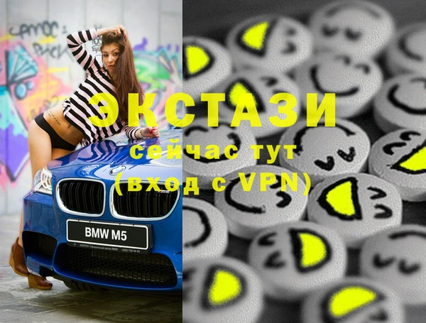 индика Карпинск