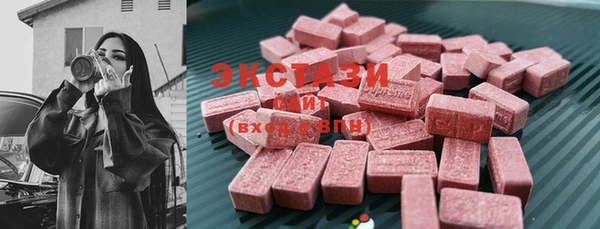 индика Карпинск