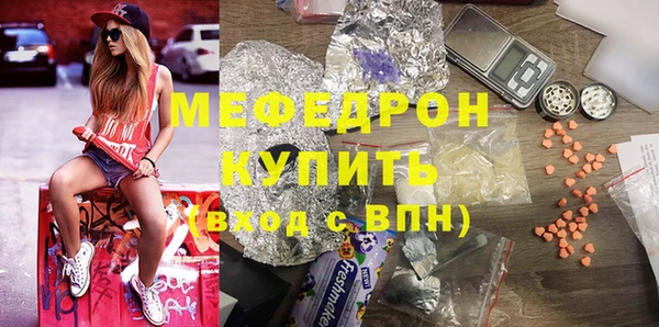 индика Карпинск