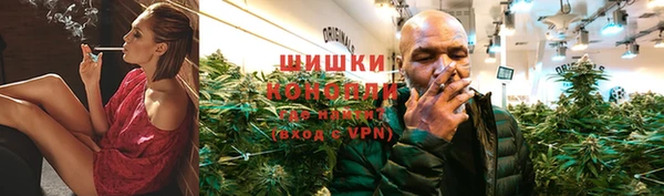 тгк Касимов