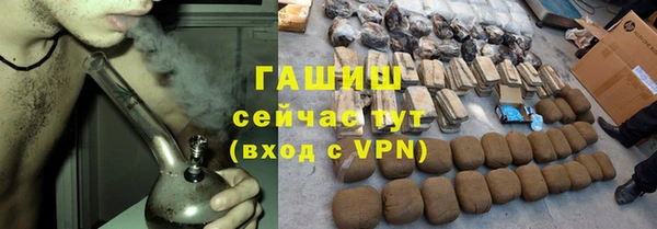 индика Карпинск