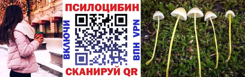 Галлюциногенные грибы Magic Shrooms  Купить где  Щучье 